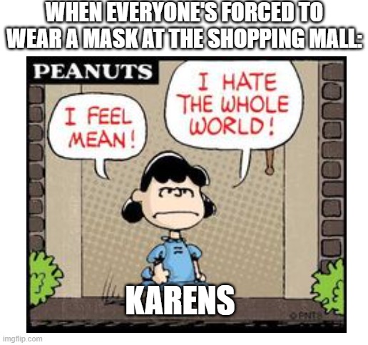 WHEN EVERYONE'S FORCED TO WEAR A MASK AT THE SHOPPING MALL: KARENS | image tagged in blank white template | made w/ Imgflip meme maker