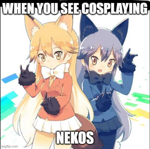 nekos be like | WHEN YOU SEE COSPLAYING; NEKOS | image tagged in cosplay,neko girls | made w/ Imgflip meme maker