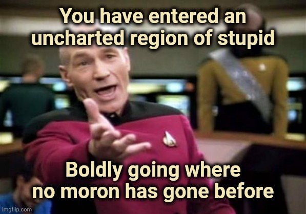 Picard Wtf Meme | You have entered an uncharted region of stupid Boldly going where no moron has gone before | image tagged in memes,picard wtf | made w/ Imgflip meme maker
