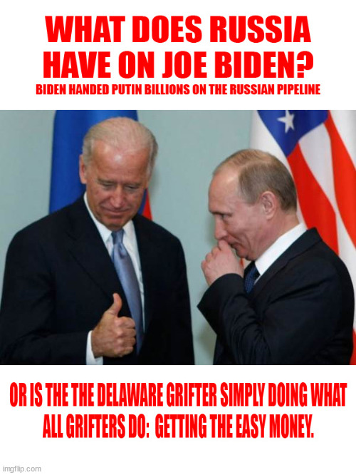 THE DELAWARE GRIFTER | image tagged in biden crime family,stupid liberals | made w/ Imgflip meme maker