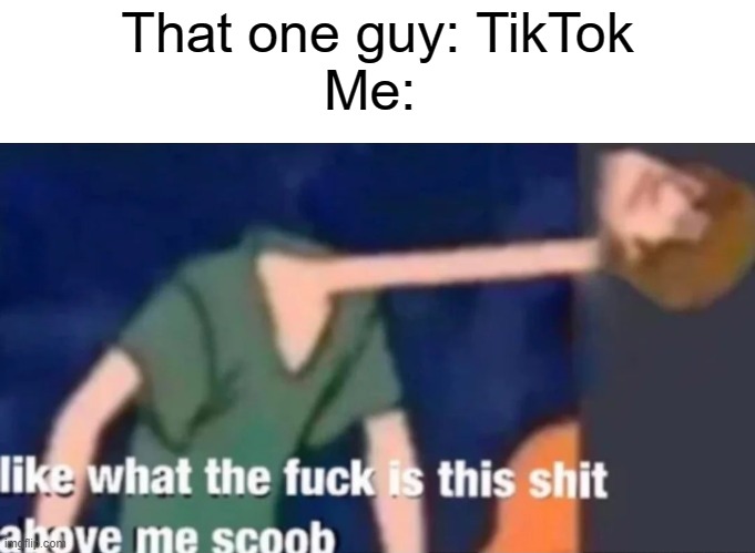 please make it stop | That one guy: TikTok

Me: | image tagged in like what the f ck is this sh t above me scoob | made w/ Imgflip meme maker