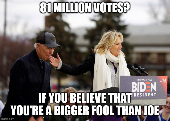 Idiot | 81 MILLION VOTES? IF YOU BELIEVE THAT YOU'RE A BIGGER FOOL THAN JOE | image tagged in biden finger | made w/ Imgflip meme maker