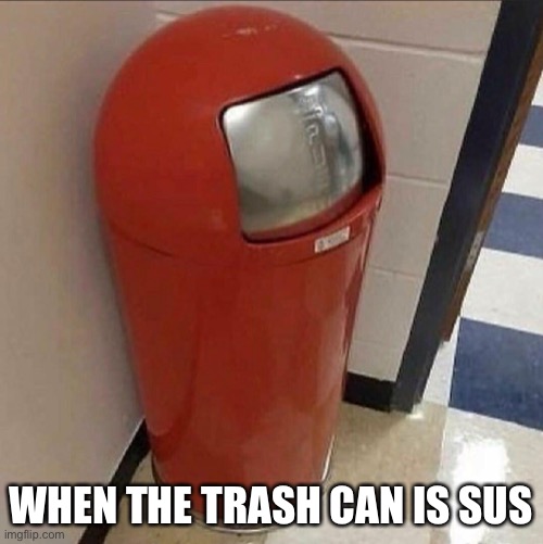 When the trash can is sus | WHEN THE TRASH CAN IS SUS | image tagged in among us,sus,trash can | made w/ Imgflip meme maker