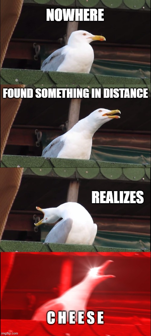 C    H     E    E   S  E | NOWHERE; FOUND SOMETHING IN DISTANCE; REALIZES; C H E E S E | image tagged in memes,inhaling seagull | made w/ Imgflip meme maker