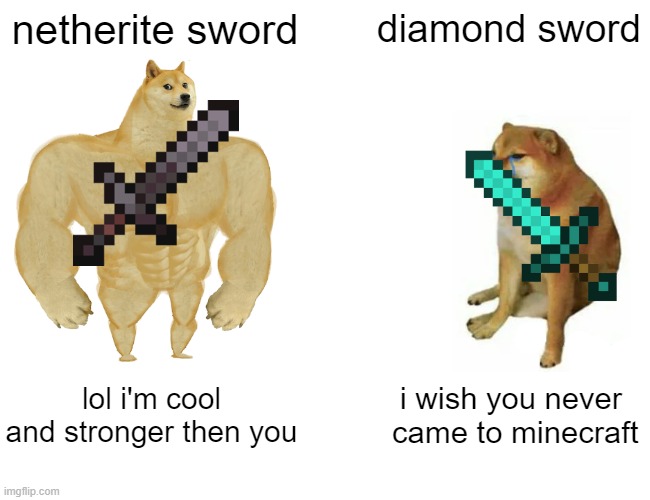 netherite sword is the best too and other tools | netherite sword; diamond sword; lol i'm cool and stronger then you; i wish you never  came to minecraft | image tagged in memes,buff doge vs cheems,minecraft | made w/ Imgflip meme maker