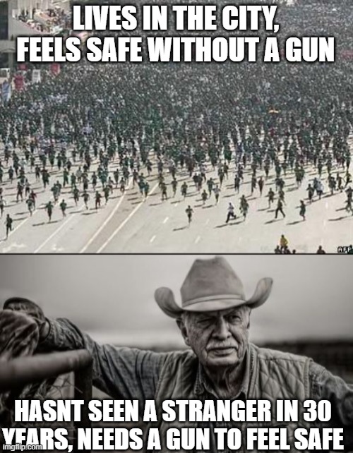We know who the real snowflakes are | LIVES IN THE CITY, FEELS SAFE WITHOUT A GUN; HASNT SEEN A STRANGER IN 30 YEARS, NEEDS A GUN TO FEEL SAFE | image tagged in memes,so god made a farmer,gun control,snowflakes,politics,pahleeze | made w/ Imgflip meme maker