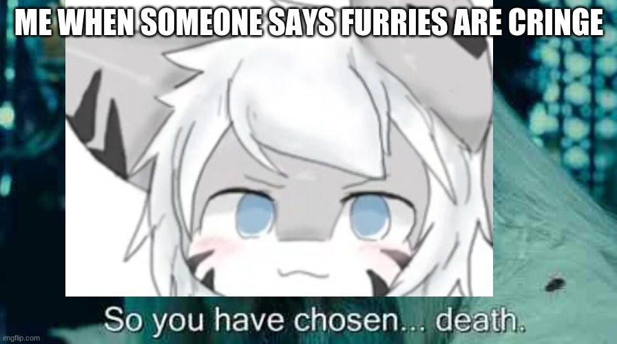 so you have chosen, transfur. | ME WHEN SOMEONE SAYS FURRIES ARE CRINGE | image tagged in furry memes,memes,so you have chosen death,the furry fandom,furry | made w/ Imgflip meme maker
