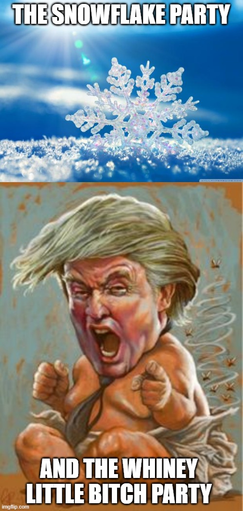 THE SNOWFLAKE PARTY AND THE WHINEY LITTLE BITCH PARTY | image tagged in snowflake,trump-crybaby | made w/ Imgflip meme maker