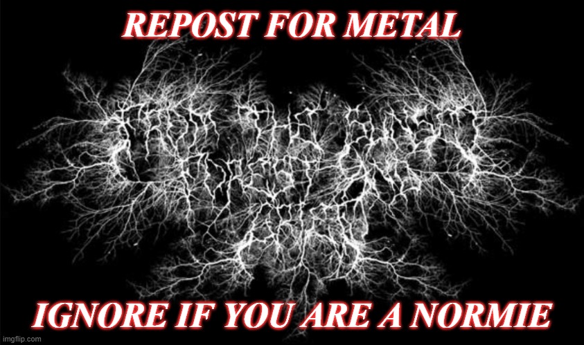 METAL! | REPOST FOR METAL; IGNORE IF YOU ARE A NORMIE | image tagged in black metal logo | made w/ Imgflip meme maker