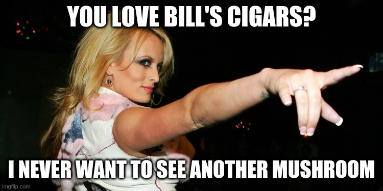 Stormy Daniels | YOU LOVE BILL'S CIGARS? I NEVER WANT TO SEE ANOTHER MUSHROOM | image tagged in stormy daniels,rumpt | made w/ Imgflip meme maker