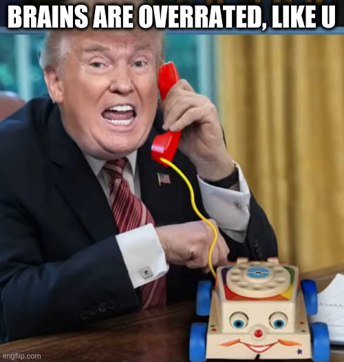 I'm the president | BRAINS ARE OVERRATED, LIKE U | image tagged in i'm the president | made w/ Imgflip meme maker