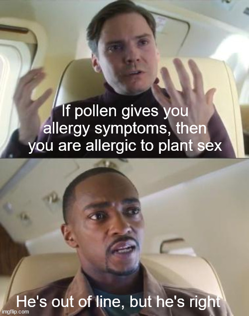 This meme is barely NSFW so no one will ever see it | If pollen gives you allergy symptoms, then you are allergic to plant sex; He's out of line, but he's right | image tagged in out of line but he's right,allergies,memes | made w/ Imgflip meme maker