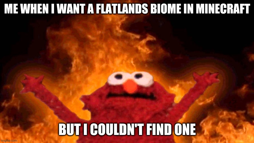 elmo fire | ME WHEN I WANT A FLATLANDS BIOME IN MINECRAFT; BUT I COULDN'T FIND ONE | image tagged in elmo fire | made w/ Imgflip meme maker