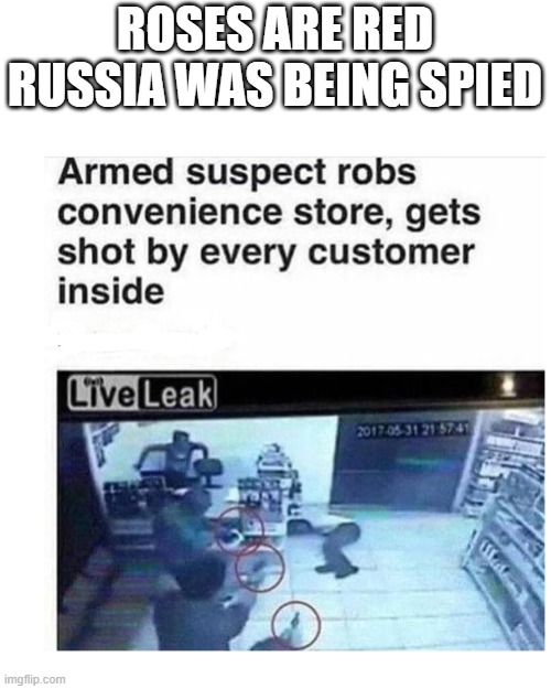America at its finest | ROSES ARE RED
RUSSIA WAS BEING SPIED | image tagged in memes,blank transparent square | made w/ Imgflip meme maker
