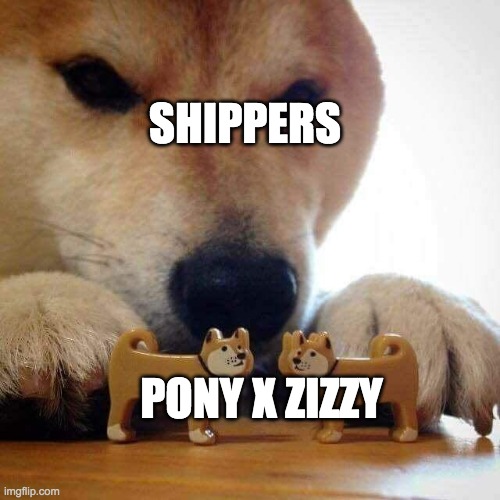 dog now kiss  | SHIPPERS; PONY X ZIZZY | image tagged in dog now kiss | made w/ Imgflip meme maker