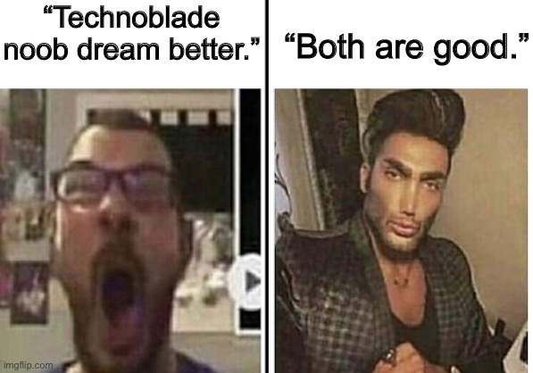 average fan vs average enjoyer | “Technoblade noob dream better.”; “Both are good.” | image tagged in average fan vs average enjoyer | made w/ Imgflip meme maker