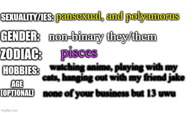 hEwO? | pansexual, and polyamorus; non-binary they/them; pisces; watching anime, playing with my cats, hanging out with my friend jake; none of your business but 13 uwu | image tagged in bio template | made w/ Imgflip meme maker