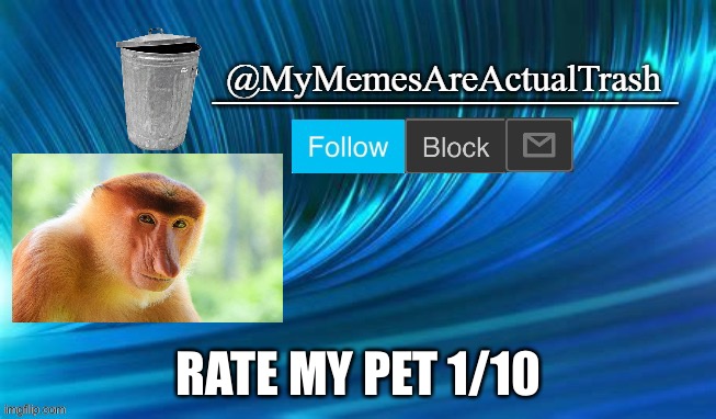 Rate him. |  RATE MY PET 1/10 | image tagged in mymemesareactualtrash announcement template | made w/ Imgflip meme maker