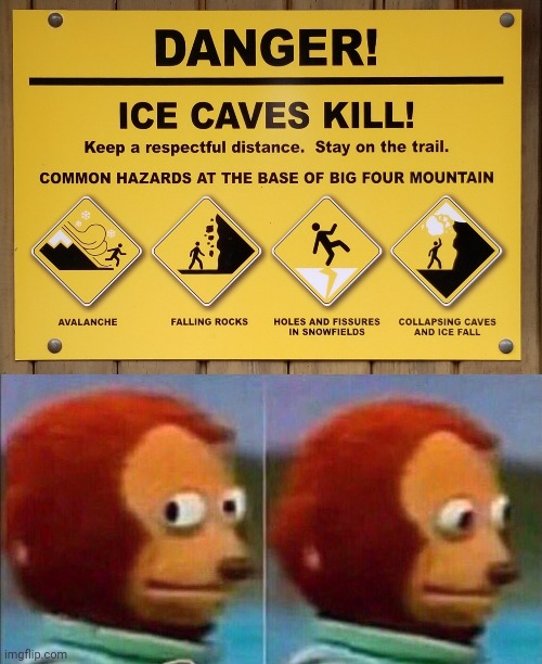 Danger sign: Ice caves | image tagged in monkey looking away,dark humor,memes,ice,cave,danger | made w/ Imgflip meme maker