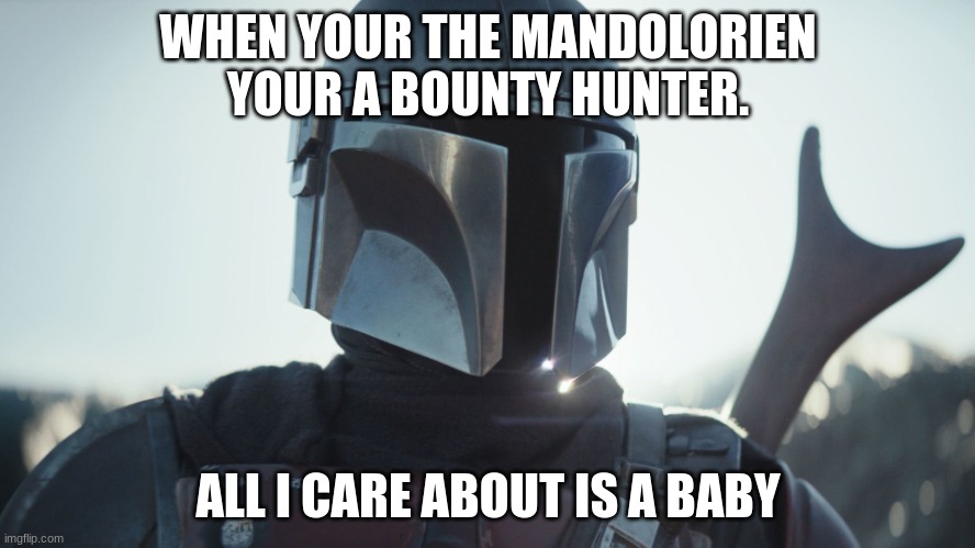 The Mandalorian. | WHEN YOUR THE MANDOLORIEN YOUR A BOUNTY HUNTER. ALL I CARE ABOUT IS A BABY | image tagged in the mandalorian | made w/ Imgflip meme maker