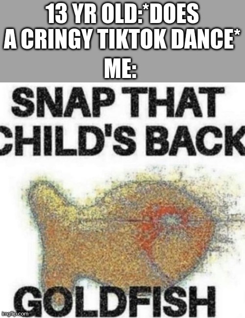 SNAP HER BACK AND THROW HER INTO ORBIT | 13 YR OLD:*DOES A CRINGY TIKTOK DANCE*; ME: | image tagged in snap that child's back | made w/ Imgflip meme maker