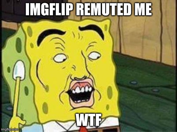Really oofa | IMGFLIP REMUTED ME; WTF | image tagged in sponge bob bruh,bruh moment,bruh,bruhh | made w/ Imgflip meme maker