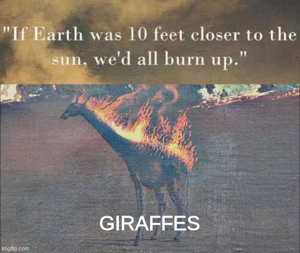 GIRAFFES | image tagged in if earth was 10 feet closer | made w/ Imgflip meme maker