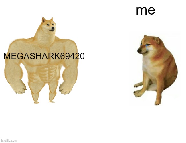 MEGASHARK69420 me | image tagged in memes,buff doge vs cheems | made w/ Imgflip meme maker