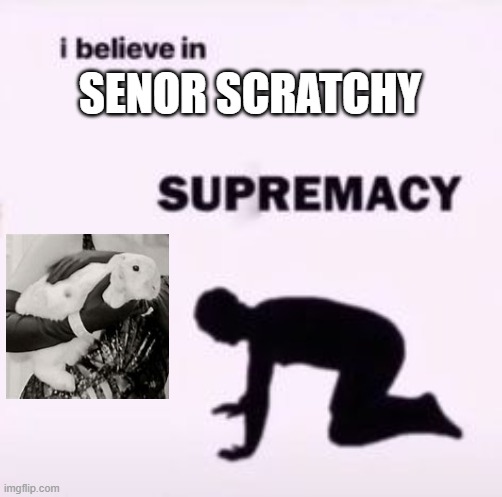 In this house we believe | SENOR SCRATCHY | image tagged in i believe in supremacy,agatha all along,bunny,marvel,wandavision,funny | made w/ Imgflip meme maker