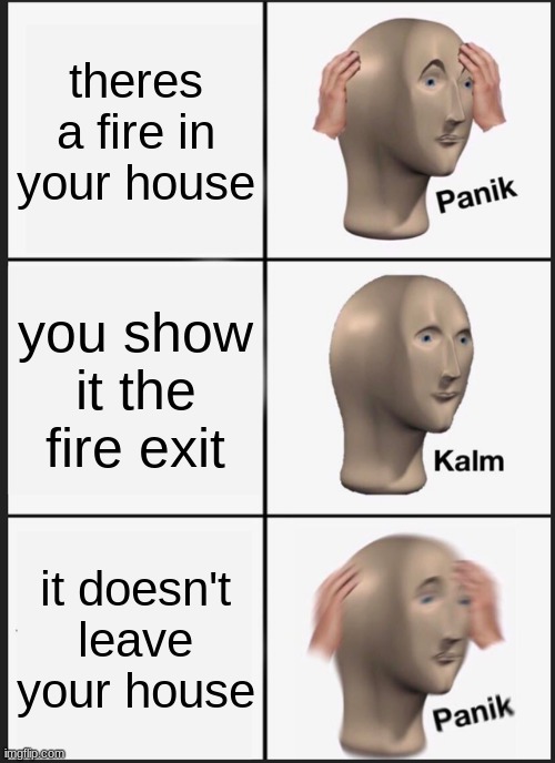 the fire exit doesn't work!!! | theres a fire in your house; you show it the fire exit; it doesn't leave your house | image tagged in memes,panik kalm panik | made w/ Imgflip meme maker