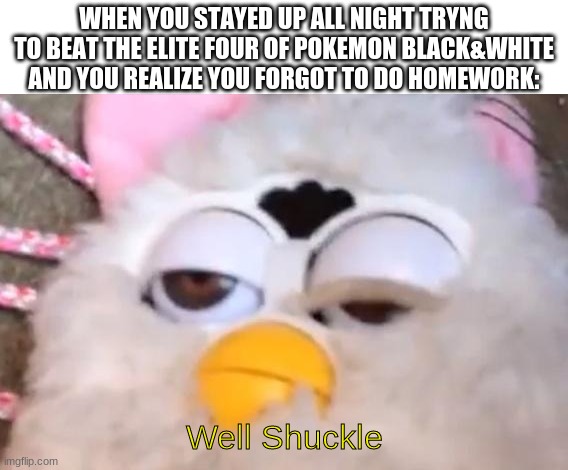 Relatable? | WHEN YOU STAYED UP ALL NIGHT TRYNG TO BEAT THE ELITE FOUR OF POKEMON BLACK&WHITE AND YOU REALIZE YOU FORGOT TO DO HOMEWORK:; Well Shuckle | image tagged in drunk furby | made w/ Imgflip meme maker