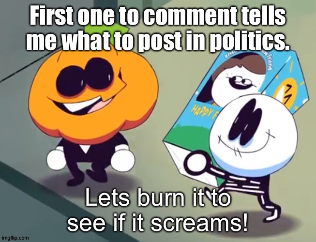 Lets burn it to see if it screams! | First one to comment tells me what to post in politics. | image tagged in lets burn it to see if it screams | made w/ Imgflip meme maker