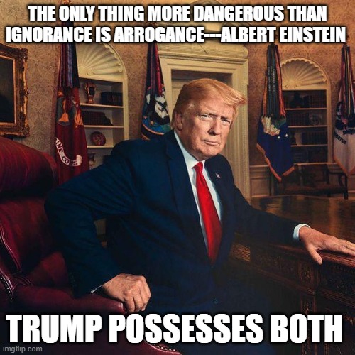 Trump | THE ONLY THING MORE DANGEROUS THAN IGNORANCE IS ARROGANCE---ALBERT EINSTEIN; TRUMP POSSESSES BOTH | image tagged in donald trump | made w/ Imgflip meme maker