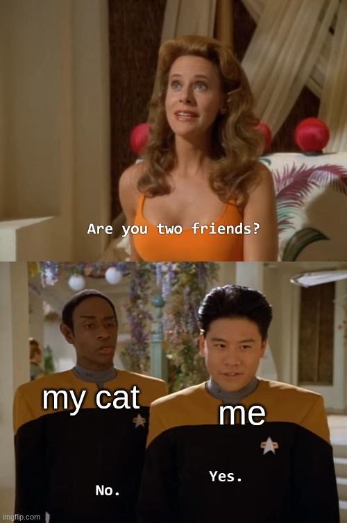 my cat hates me | my cat; me | image tagged in are you two friends,funny,cats,memes | made w/ Imgflip meme maker