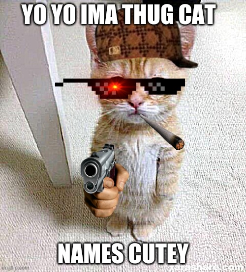 cutey the cat | YO YO IMA THUG CAT; NAMES CUTEY | image tagged in memes,cute cat | made w/ Imgflip meme maker