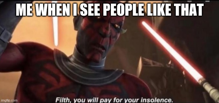 filth, you will pay for your insolence | ME WHEN I SEE PEOPLE LIKE THAT | image tagged in filth you will pay for your insolence | made w/ Imgflip meme maker