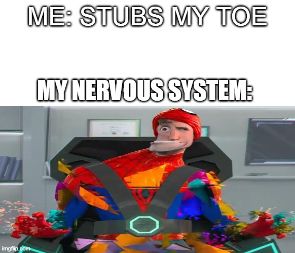 AHHHH MY TOE | ME: STUBS MY TOE; MY NERVOUS SYSTEM: | image tagged in memes,lol,haha,spiderman,when you stub your toe | made w/ Imgflip meme maker