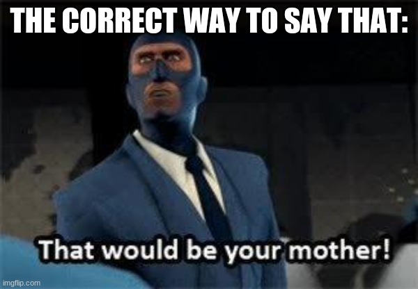 That would be your mother | THE CORRECT WAY TO SAY THAT: | image tagged in that would be your mother | made w/ Imgflip meme maker
