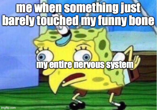 Mocking Spongebob | me when something just barely touched my funny bone; my entire nervous system | image tagged in memes,mocking spongebob | made w/ Imgflip meme maker