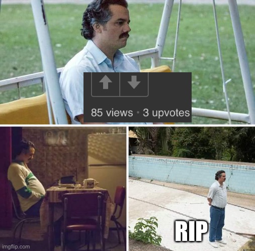 Sad Pablo Escobar Meme | RIP | image tagged in memes,sad pablo escobar | made w/ Imgflip meme maker