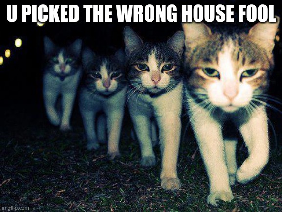 Wrong Neighboorhood Cats Meme | U PICKED THE WRONG HOUSE FOOL | image tagged in memes,wrong neighboorhood cats | made w/ Imgflip meme maker