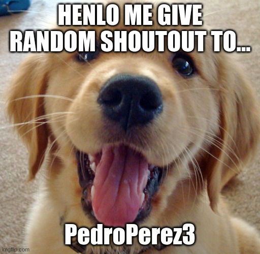 henlo! | HENLO ME GIVE RANDOM SHOUTOUT TO... PedroPerez3 | image tagged in cute dog | made w/ Imgflip meme maker