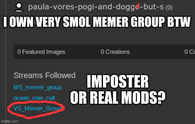 I OWN VERY SMOL MEMER GROUP BTW; IMPOSTER OR REAL MODS? | made w/ Imgflip meme maker
