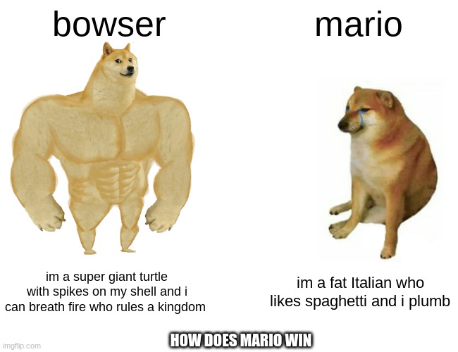 Mario & Bowser | bowser; mario; im a super giant turtle with spikes on my shell and i can breath fire who rules a kingdom; im a fat Italian who likes spaghetti and i plumb; HOW DOES MARIO WIN | image tagged in memes,buff doge vs cheems | made w/ Imgflip meme maker