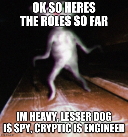 Nurpo | OK SO HERES THE ROLES SO FAR; IM HEAVY, LESSER DOG IS SPY, CRYPTIC IS ENGINEER | image tagged in nurpo | made w/ Imgflip meme maker