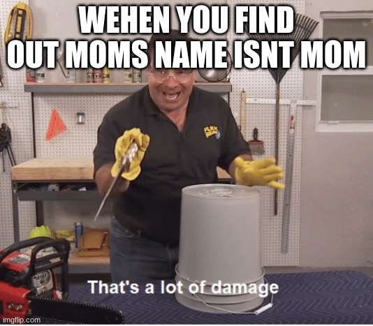 thats a lot of damage | WEHEN YOU FIND OUT MOMS NAME ISNT MOM | image tagged in thats a lot of damage | made w/ Imgflip meme maker