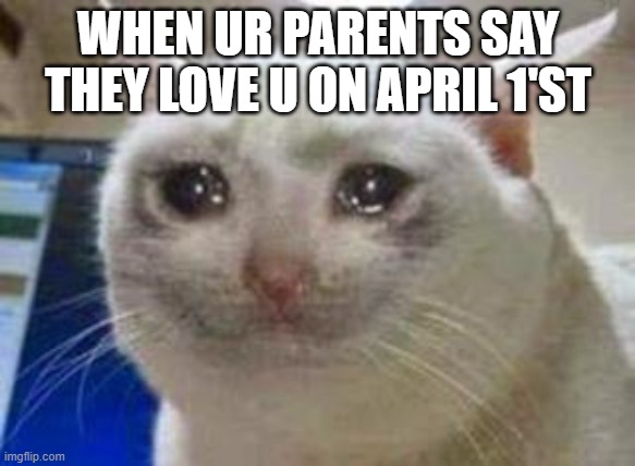 Sad cat | WHEN UR PARENTS SAY THEY LOVE U ON APRIL 1'ST | image tagged in sad cat | made w/ Imgflip meme maker