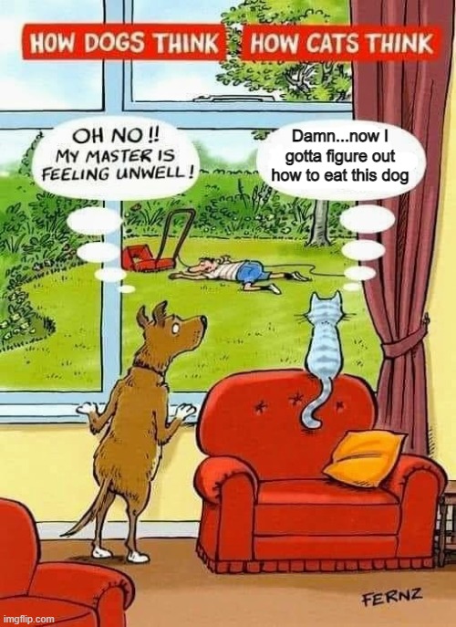 Damn...now I gotta figure out how to eat this dog | image tagged in funny,dark humor | made w/ Imgflip meme maker