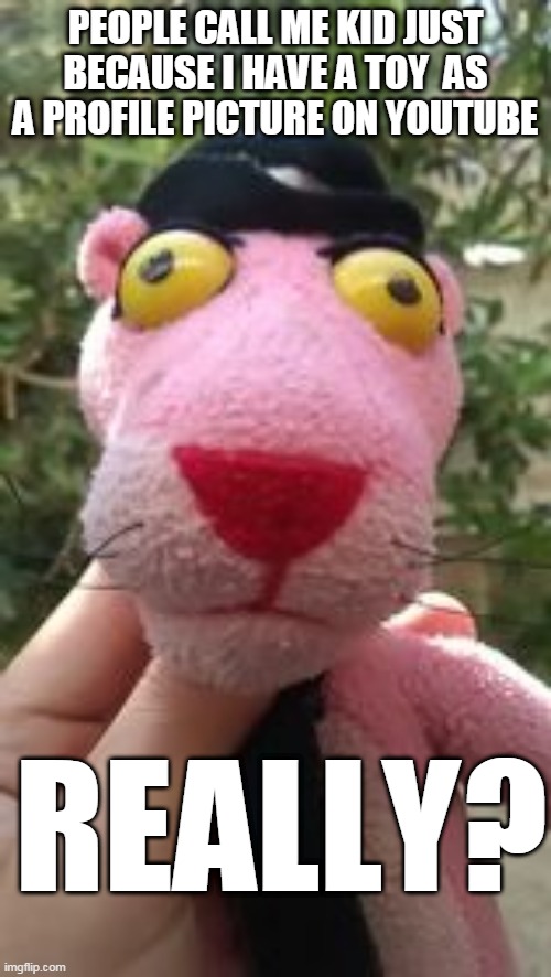 wrong | PEOPLE CALL ME KID JUST BECAUSE I HAVE A TOY  AS A PROFILE PICTURE ON YOUTUBE; REALLY? | image tagged in pantherman,pink panther,plush,youtube,youtuber,memes | made w/ Imgflip meme maker