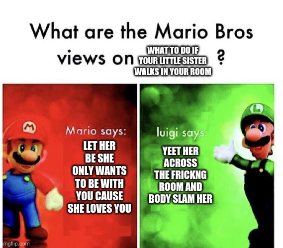 Mario Bros Views | WHAT TO DO IF YOUR LITTLE SISTER WALKS IN YOUR ROOM; LET HER BE SHE ONLY WANTS TO BE WITH YOU CAUSE SHE LOVES YOU; YEET HER ACROSS THE FRICKNG ROOM AND BODY SLAM HER | image tagged in mario bros views | made w/ Imgflip meme maker